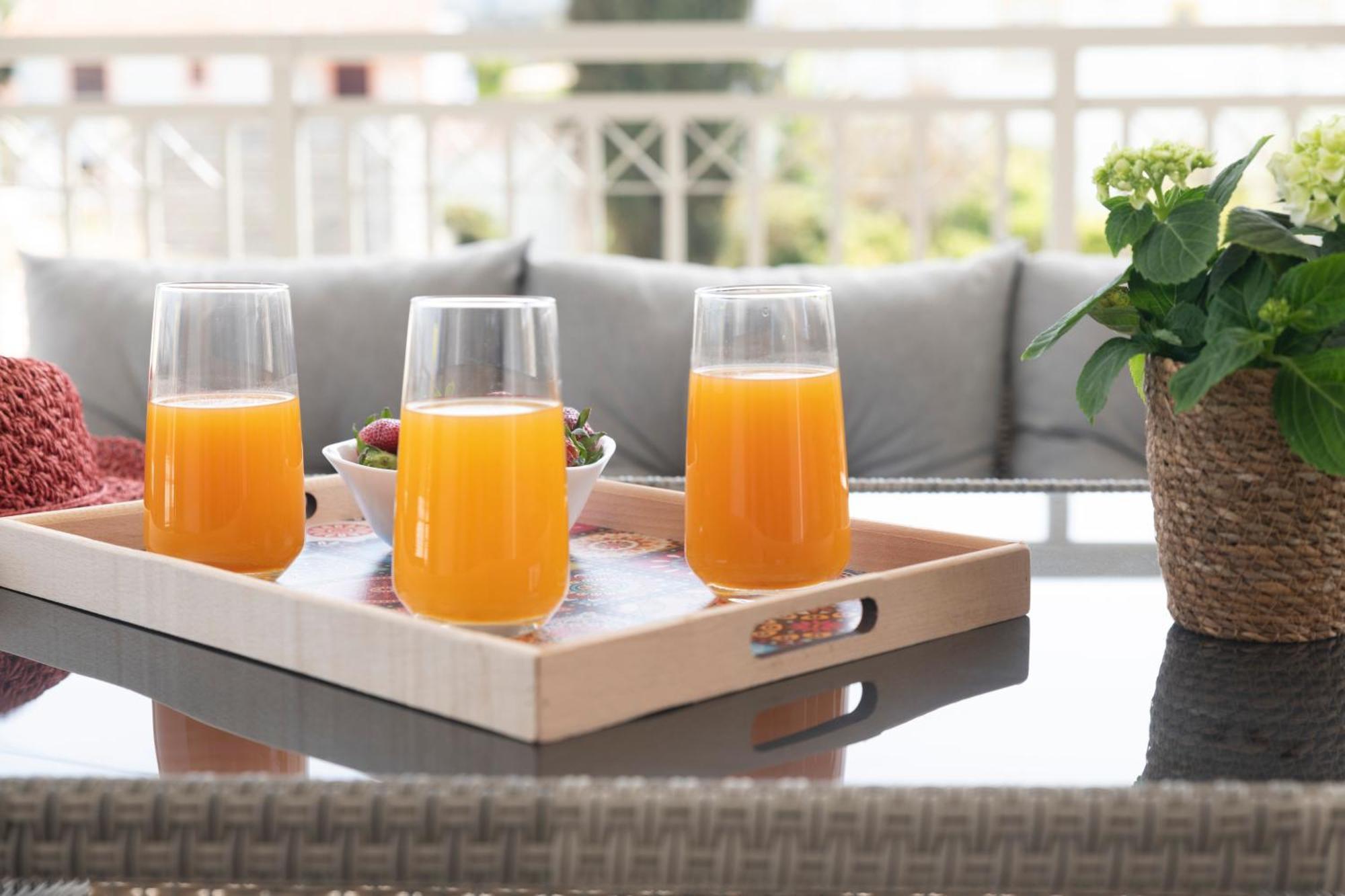 Elixrysos Apartment 2 ปิตซีเดีย ภายนอก รูปภาพ